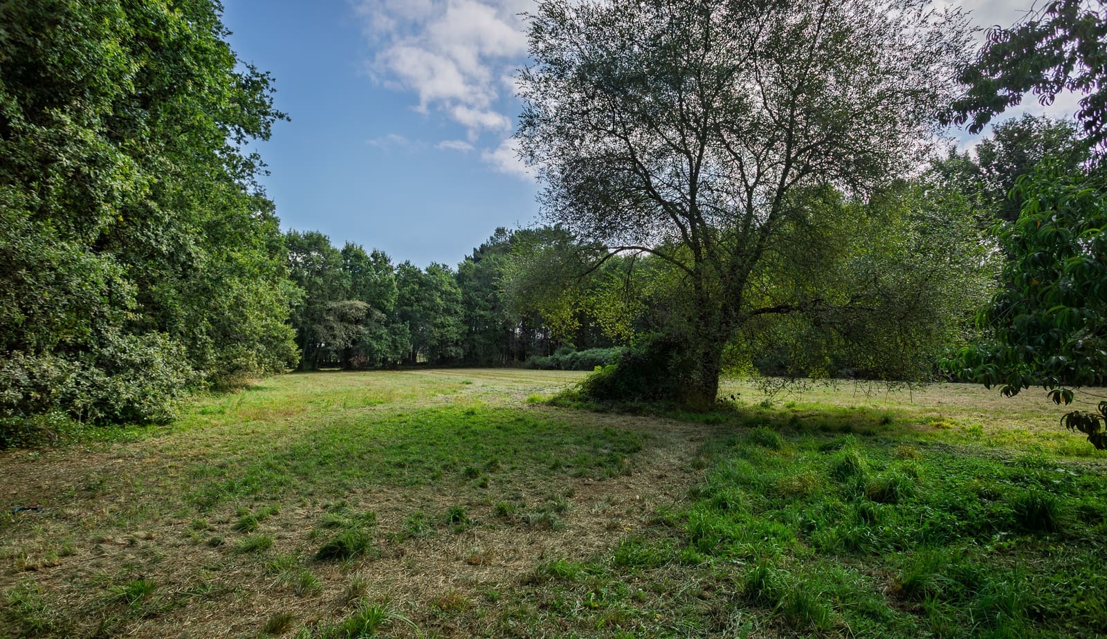 4 soveværelse Finca/Landehus til salg i Outeiro de Rei - € 69.000 (Ref: 9190250)
