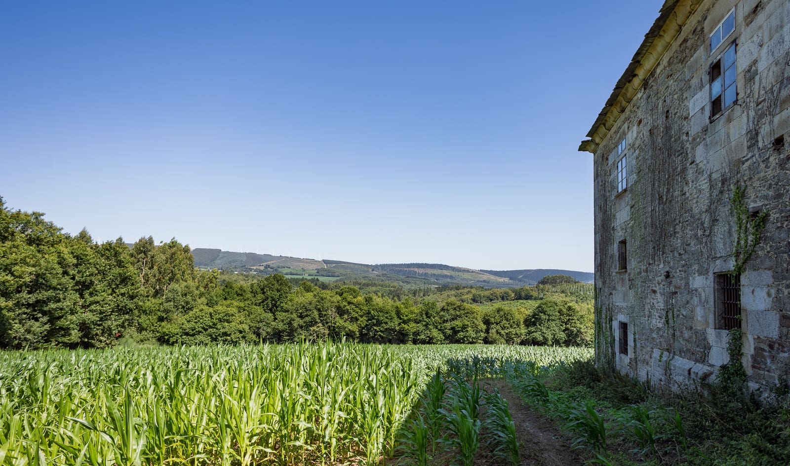 5 soveværelse Finca/Landehus til salg i Castroverde - € 350.000 (Ref: 9191735)