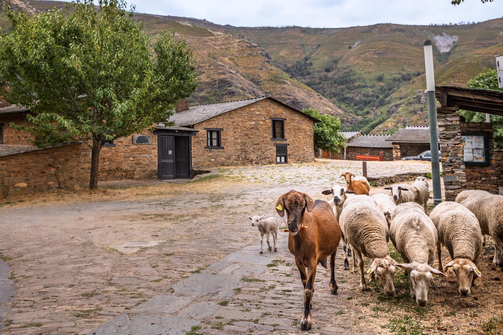 10 soveværelse Virksomhed til salg i Folgoso do Courel - € 650.000 (Ref: 9220267)