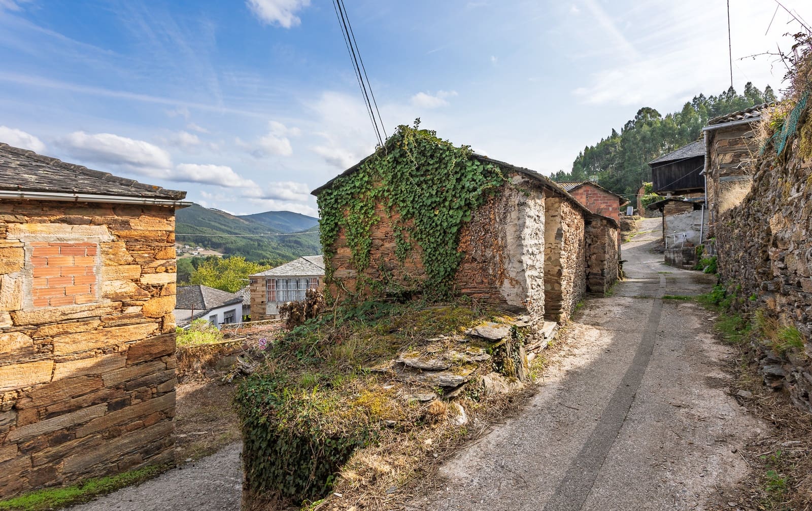1 quarto Quinta/Casa Rural para venda em Ribeira de Piquin - 40 000 € (Ref: 9251580)