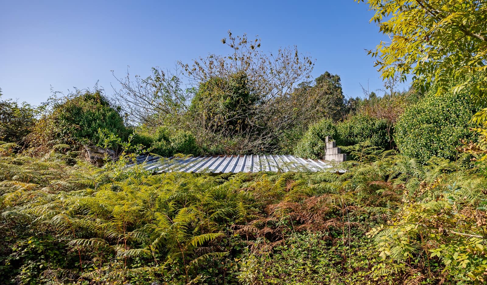 1 soveværelse Finca/Landehus til salg i Vilarmaior - € 205.000 (Ref: 9270005)