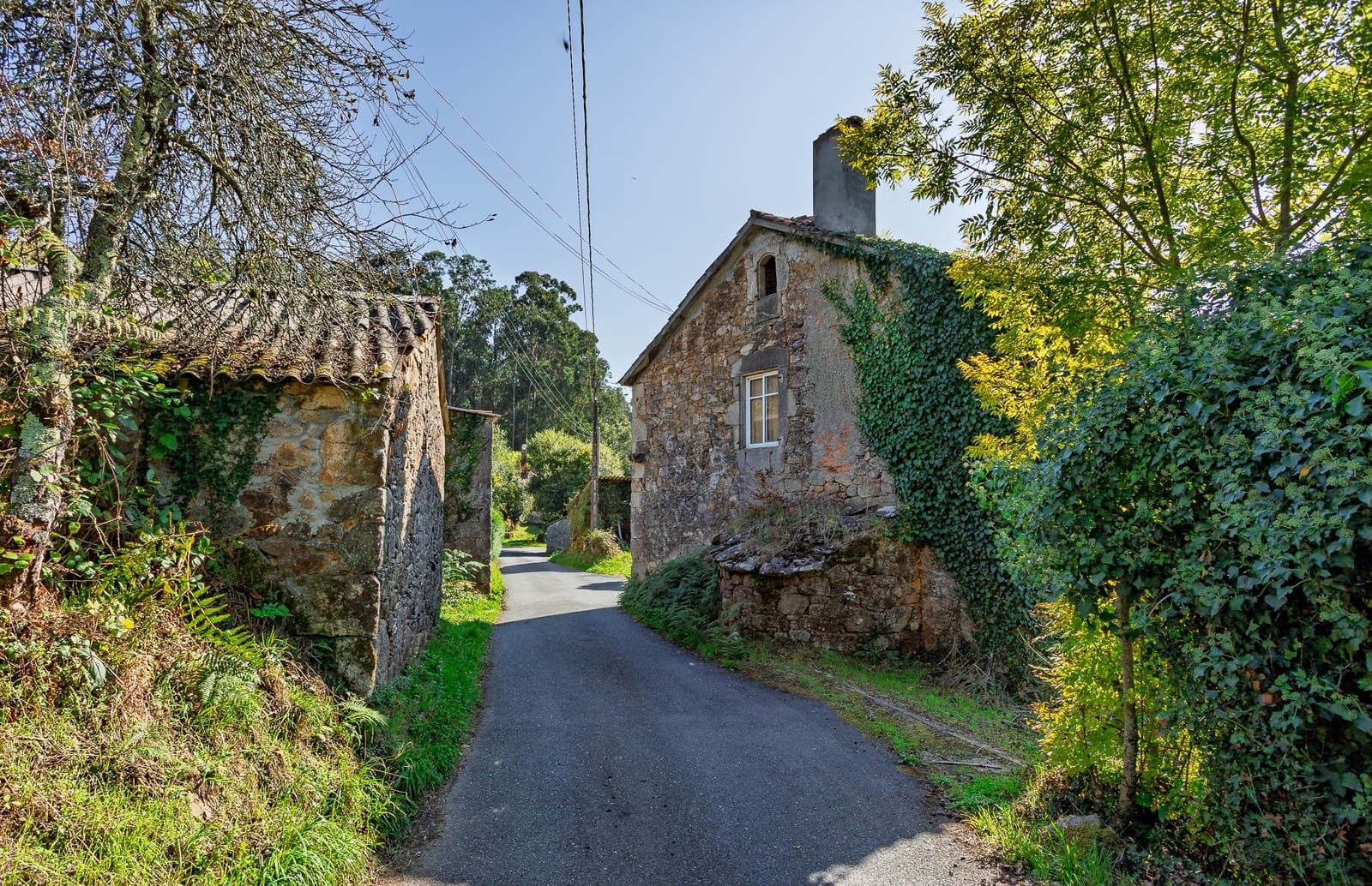 1 sypialnia Finka/Dom wiejski na sprzedaż w Vilarmaior - 205 000 € (Ref: 9270005)