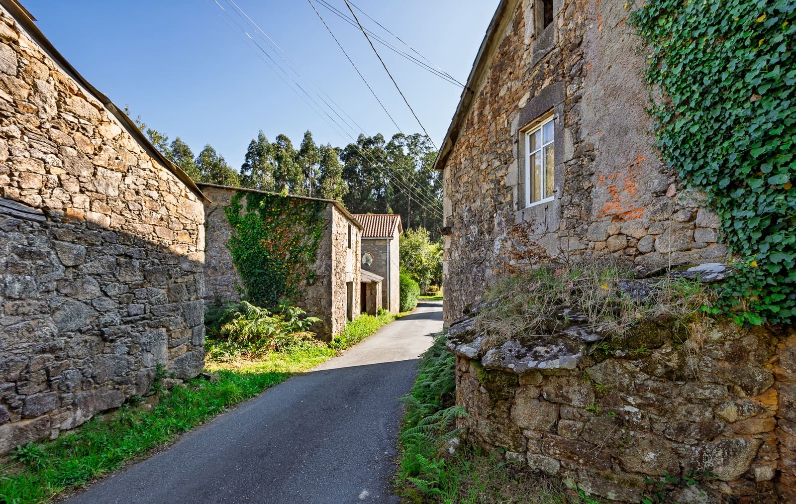 1 sypialnia Finka/Dom wiejski na sprzedaż w Vilarmaior - 205 000 € (Ref: 9270005)