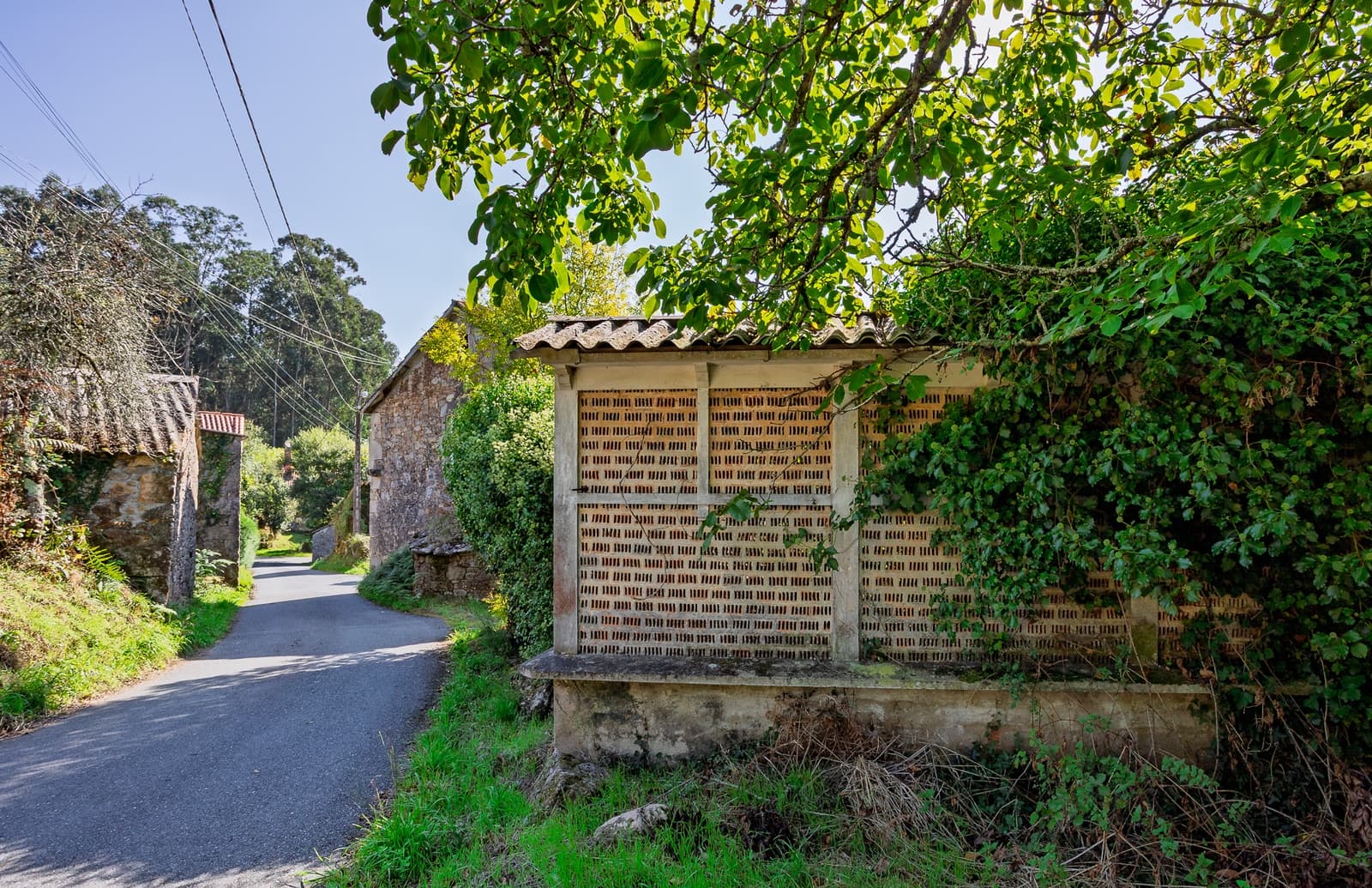 1 sypialnia Finka/Dom wiejski na sprzedaż w Vilarmaior - 205 000 € (Ref: 9270005)