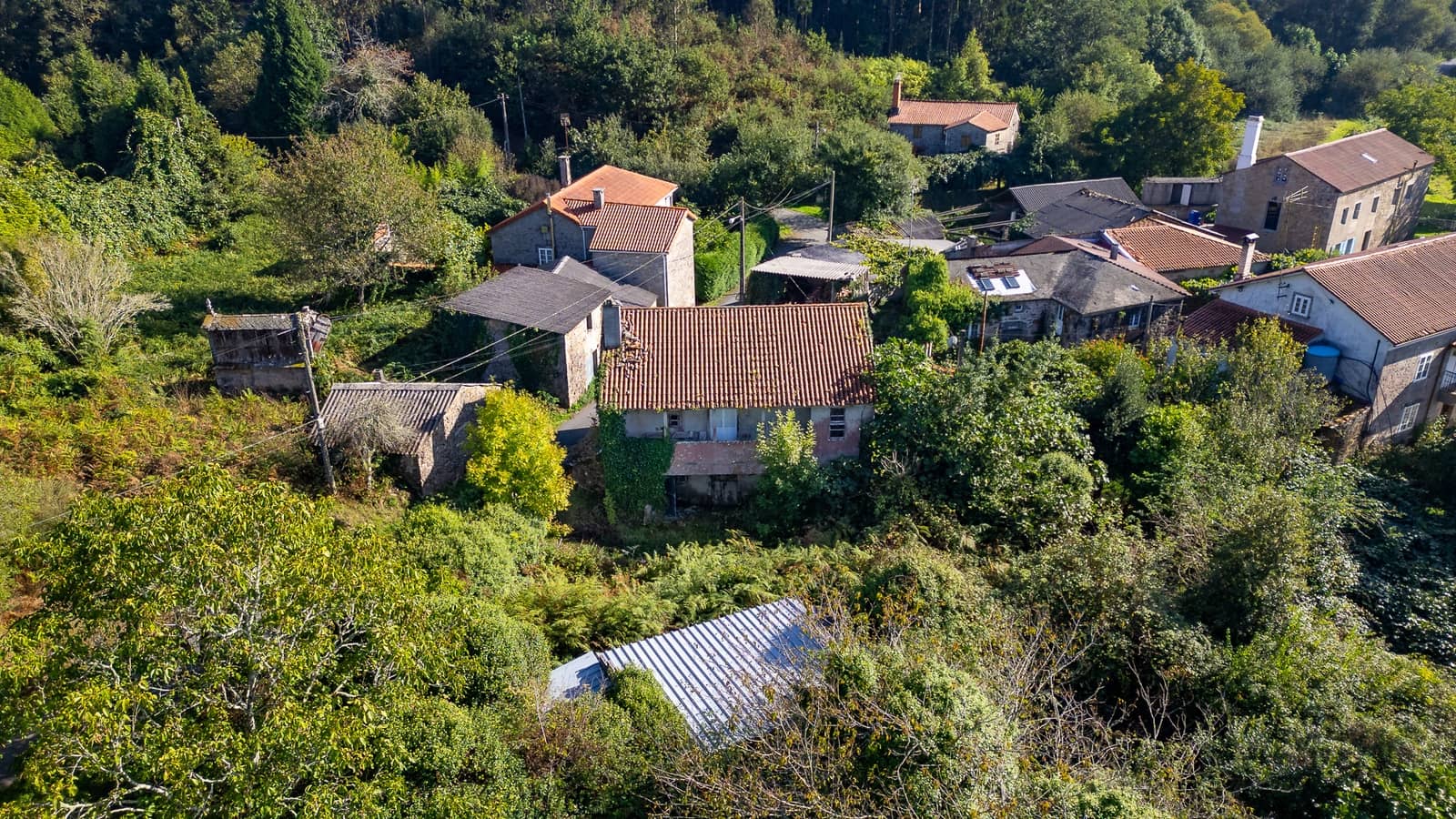 1 sypialnia Finka/Dom wiejski na sprzedaż w Vilarmaior - 205 000 € (Ref: 9270005)