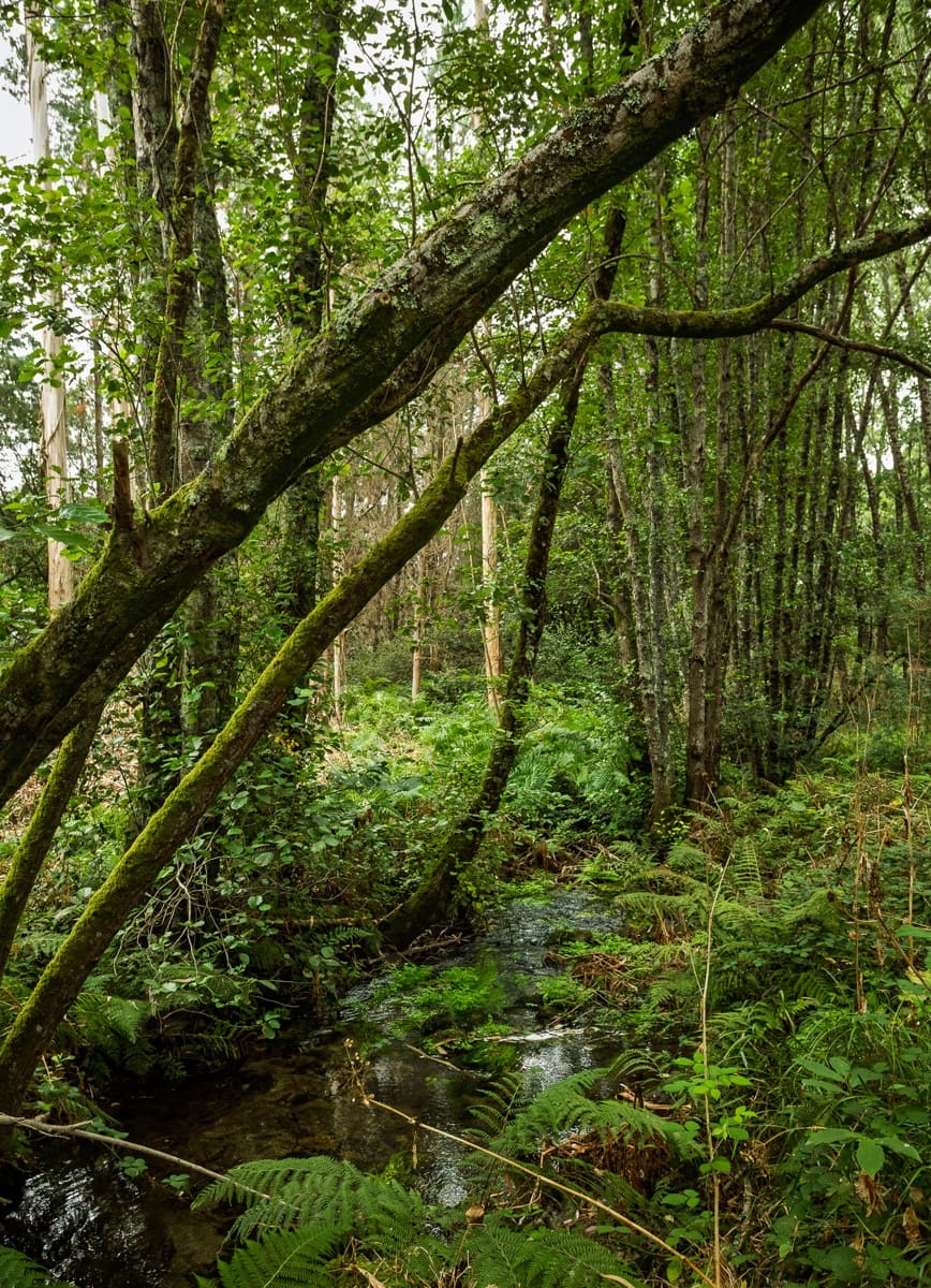 3 soverom Finca/Herregård til salgs i Silleda - € 199 000 (Ref: 9271413)