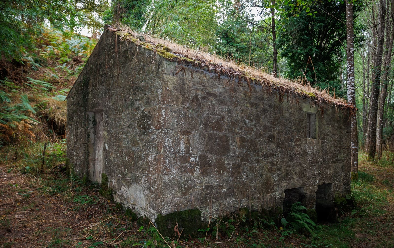 3 soverom Finca/Herregård til salgs i Silleda - € 199 000 (Ref: 9271413)