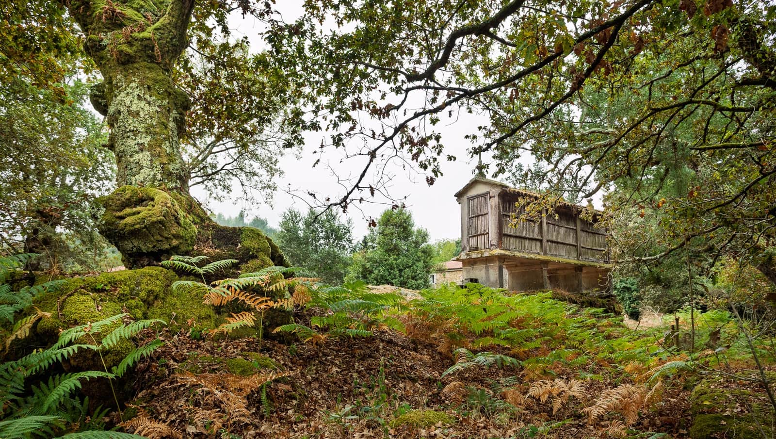 3 soverom Finca/Herregård til salgs i Silleda - € 199 000 (Ref: 9271413)