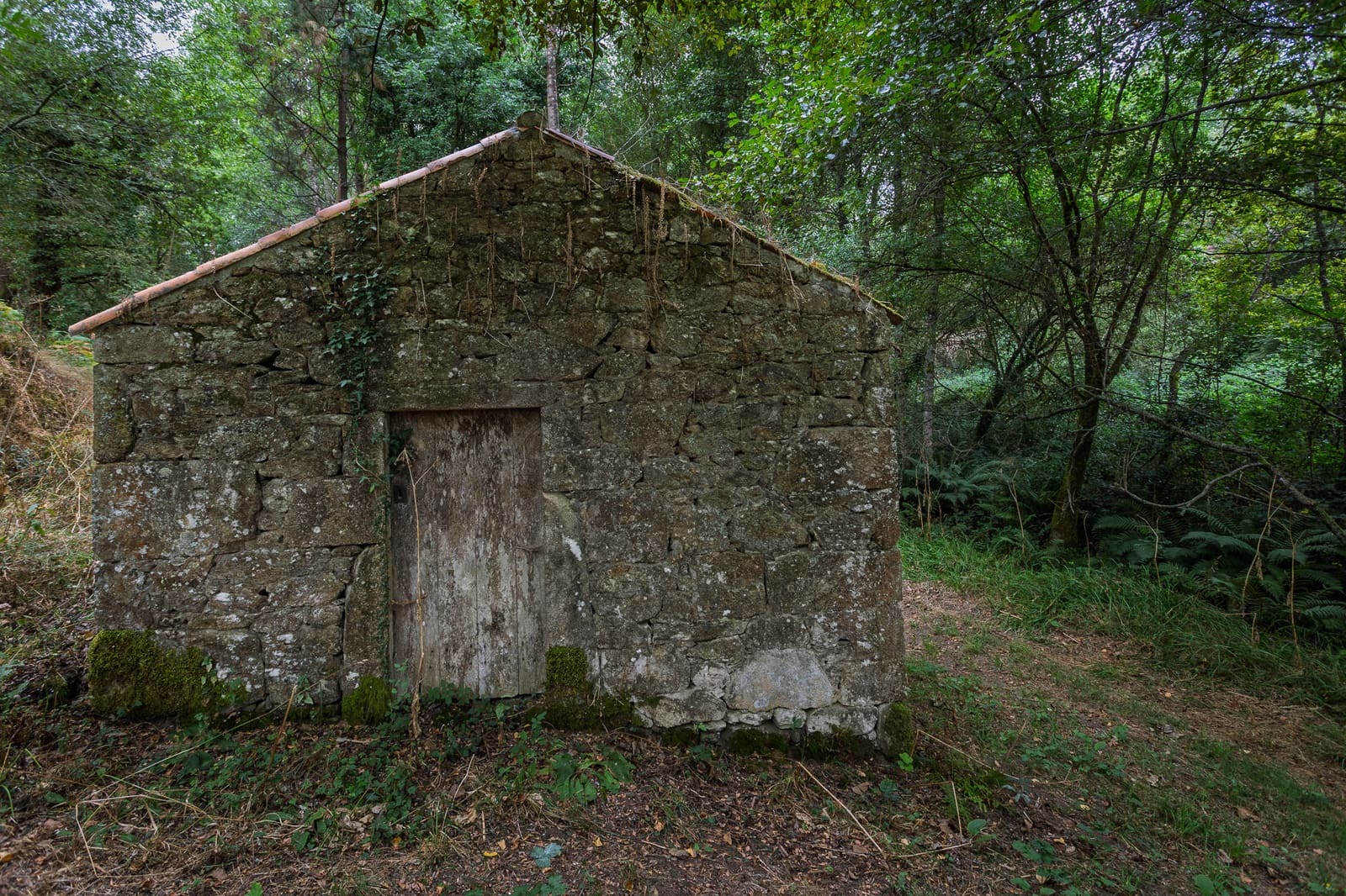 3 soverom Finca/Herregård til salgs i Silleda - € 199 000 (Ref: 9271413)