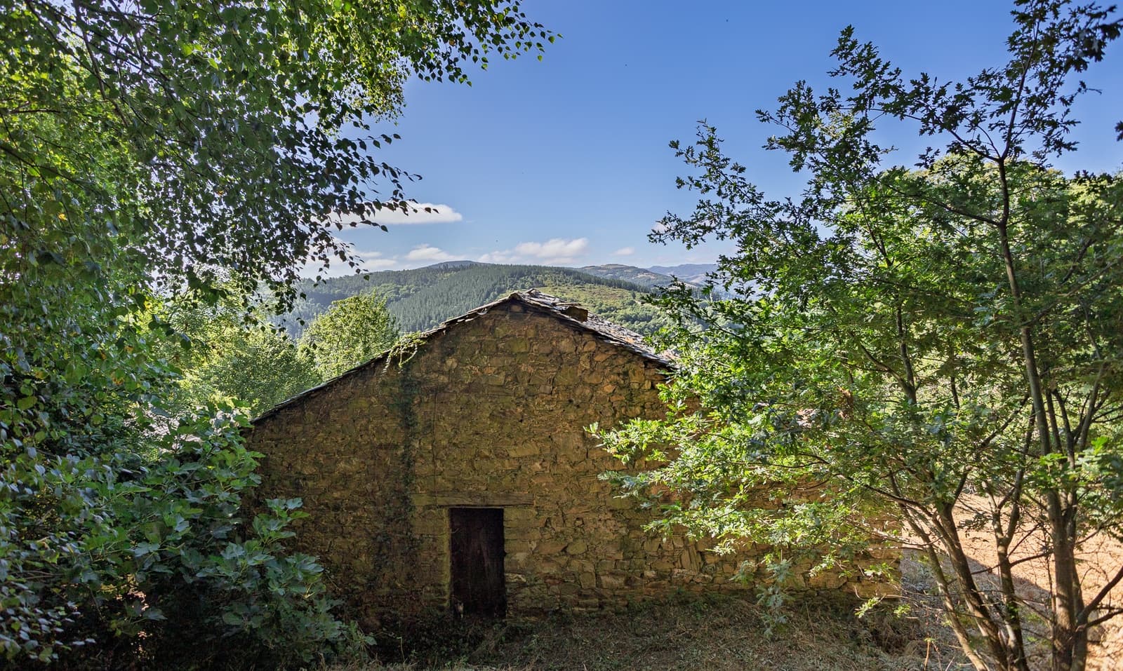 1 soverom Finca/Herregård til salgs i Becerrea - € 94 000 (Ref: 9278666)