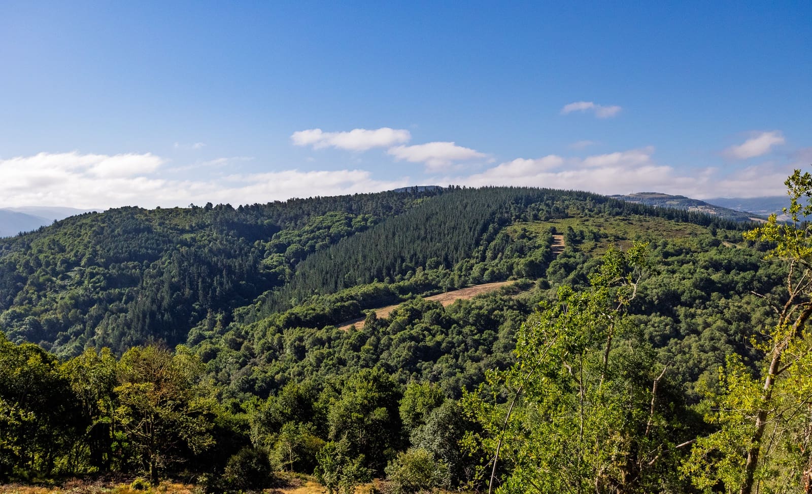 1 soverom Finca/Herregård til salgs i Becerrea - € 94 000 (Ref: 9278666)