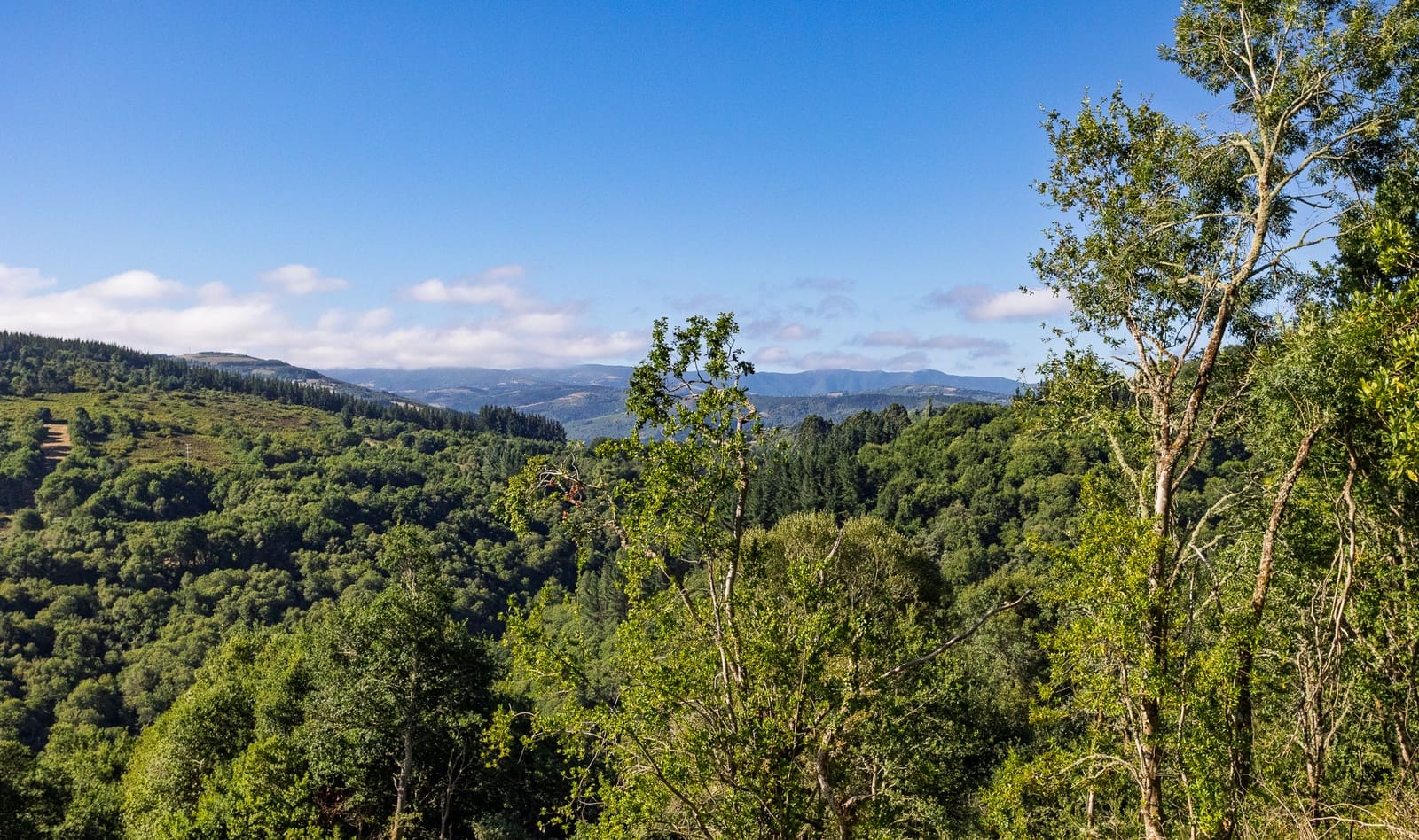 1 soverom Finca/Herregård til salgs i Becerrea - € 94 000 (Ref: 9278666)