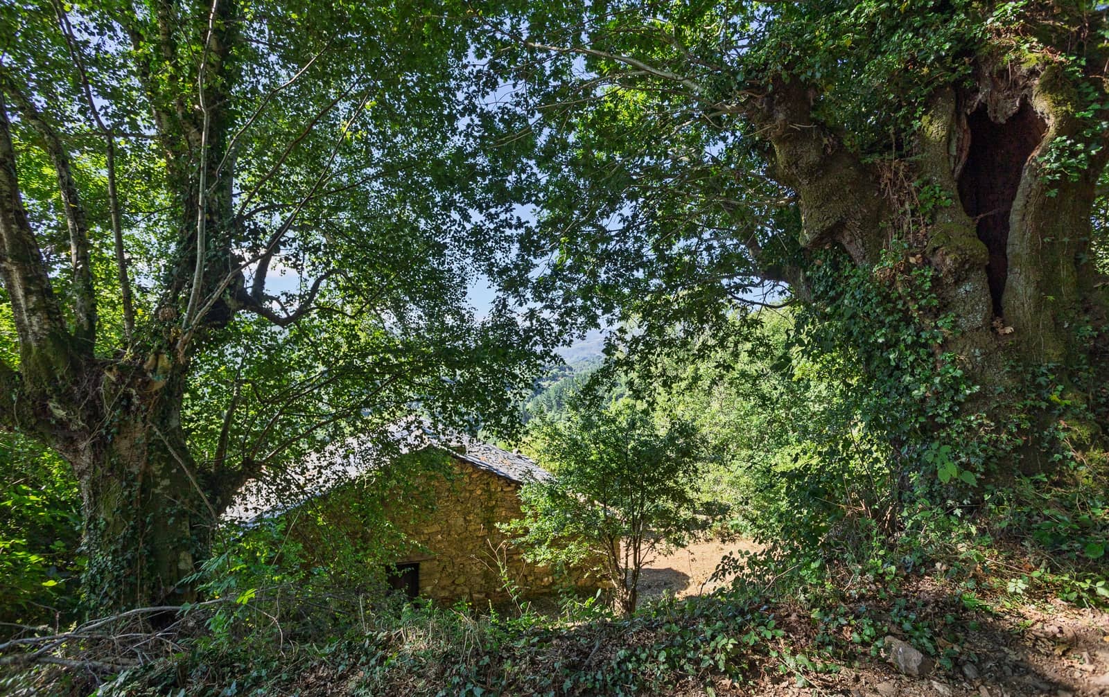 1 soverom Finca/Herregård til salgs i Becerrea - € 94 000 (Ref: 9278666)