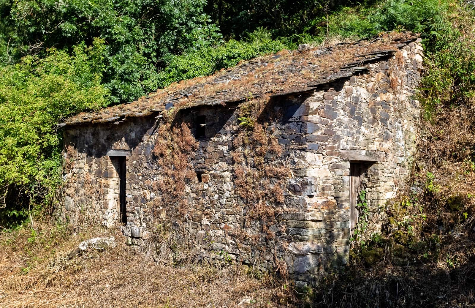 1 soverom Finca/Herregård til salgs i Becerrea - € 94 000 (Ref: 9278666)