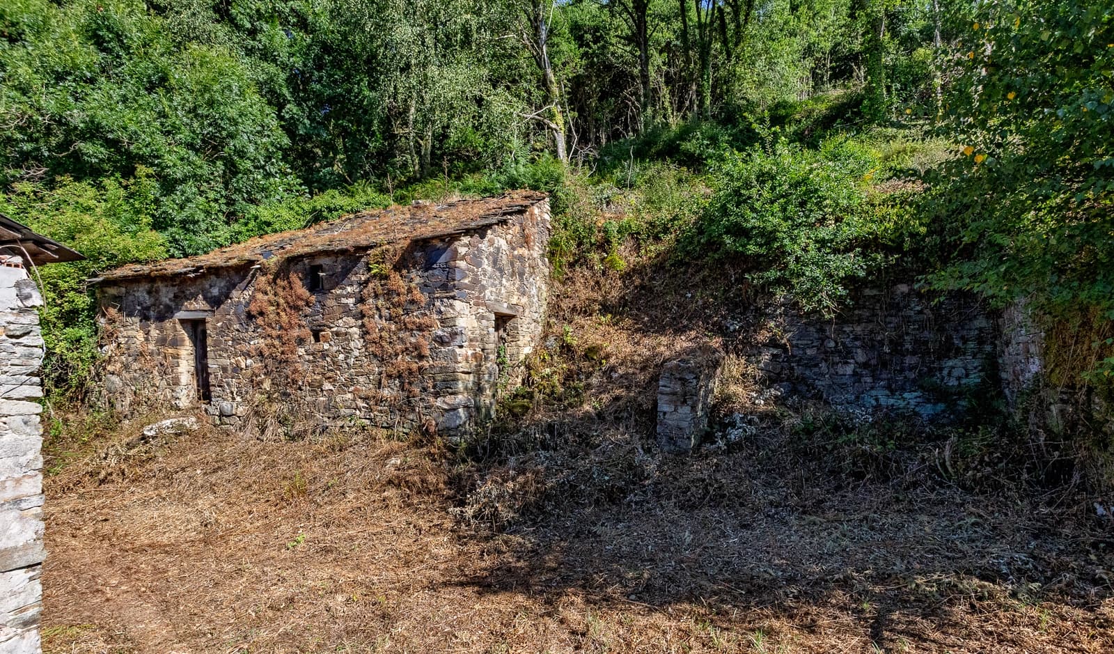 1 soverom Finca/Herregård til salgs i Becerrea - € 94 000 (Ref: 9278666)