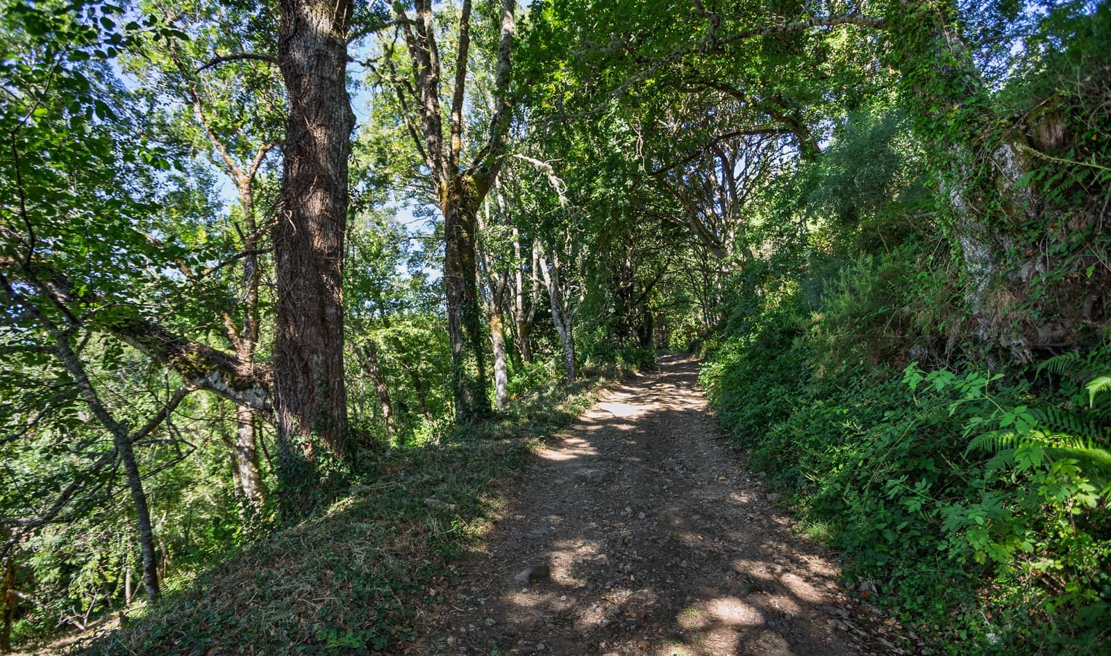 1 soverom Finca/Herregård til salgs i Becerrea - € 94 000 (Ref: 9278666)