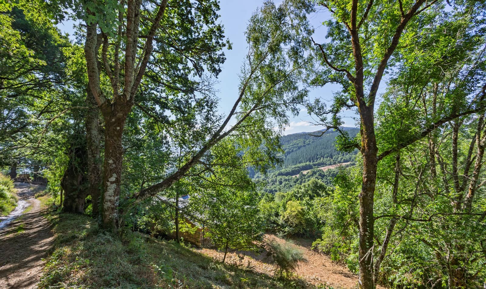 1 soverom Finca/Herregård til salgs i Becerrea - € 94 000 (Ref: 9278666)