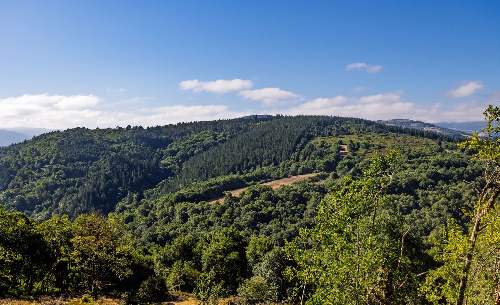 1 bedroom Finca/Country House for sale in Becerrea - € 85,000 (Ref: 9278666)