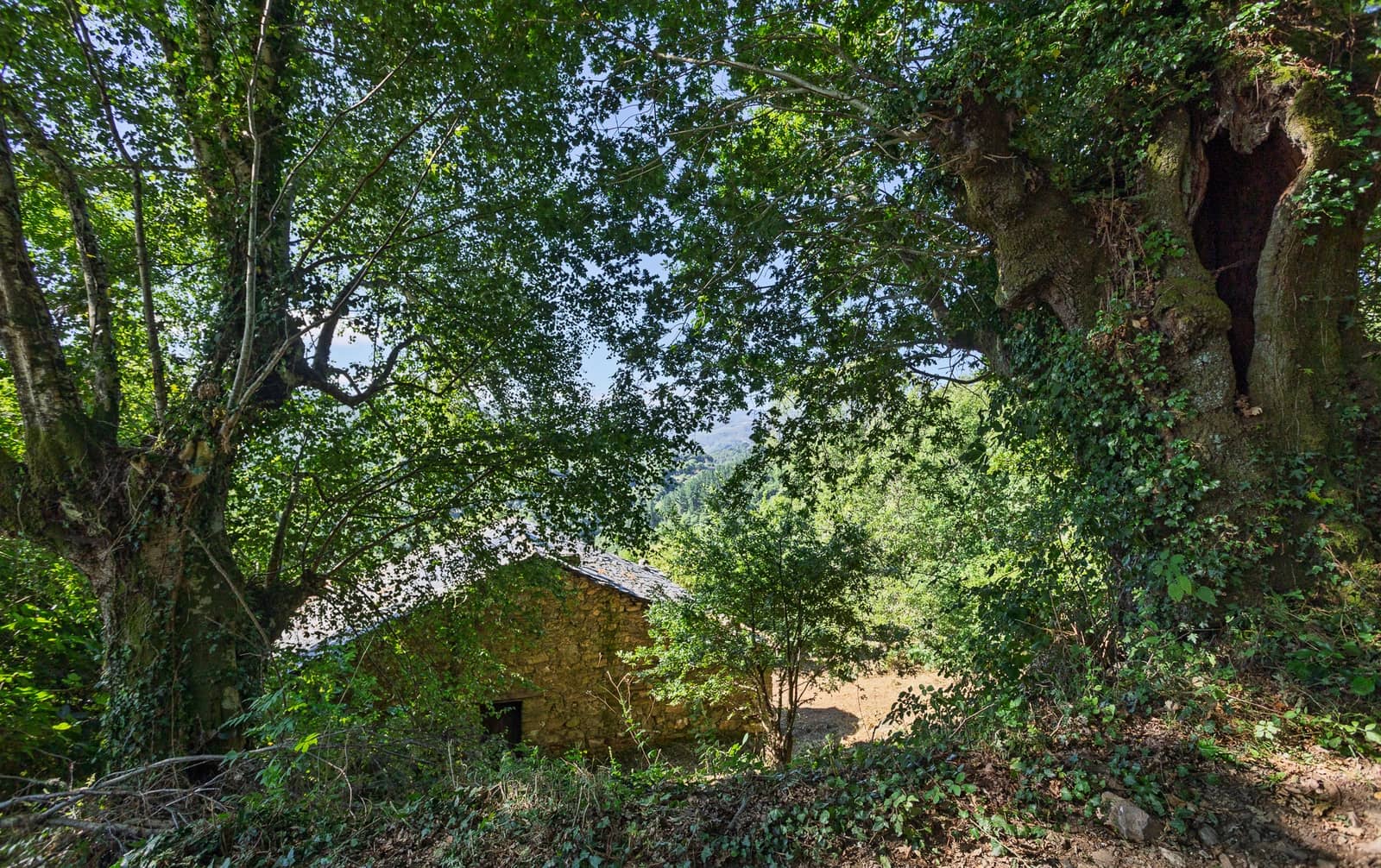 1 bedroom Finca/Country House for sale in Becerrea - € 85,000 (Ref: 9278666)