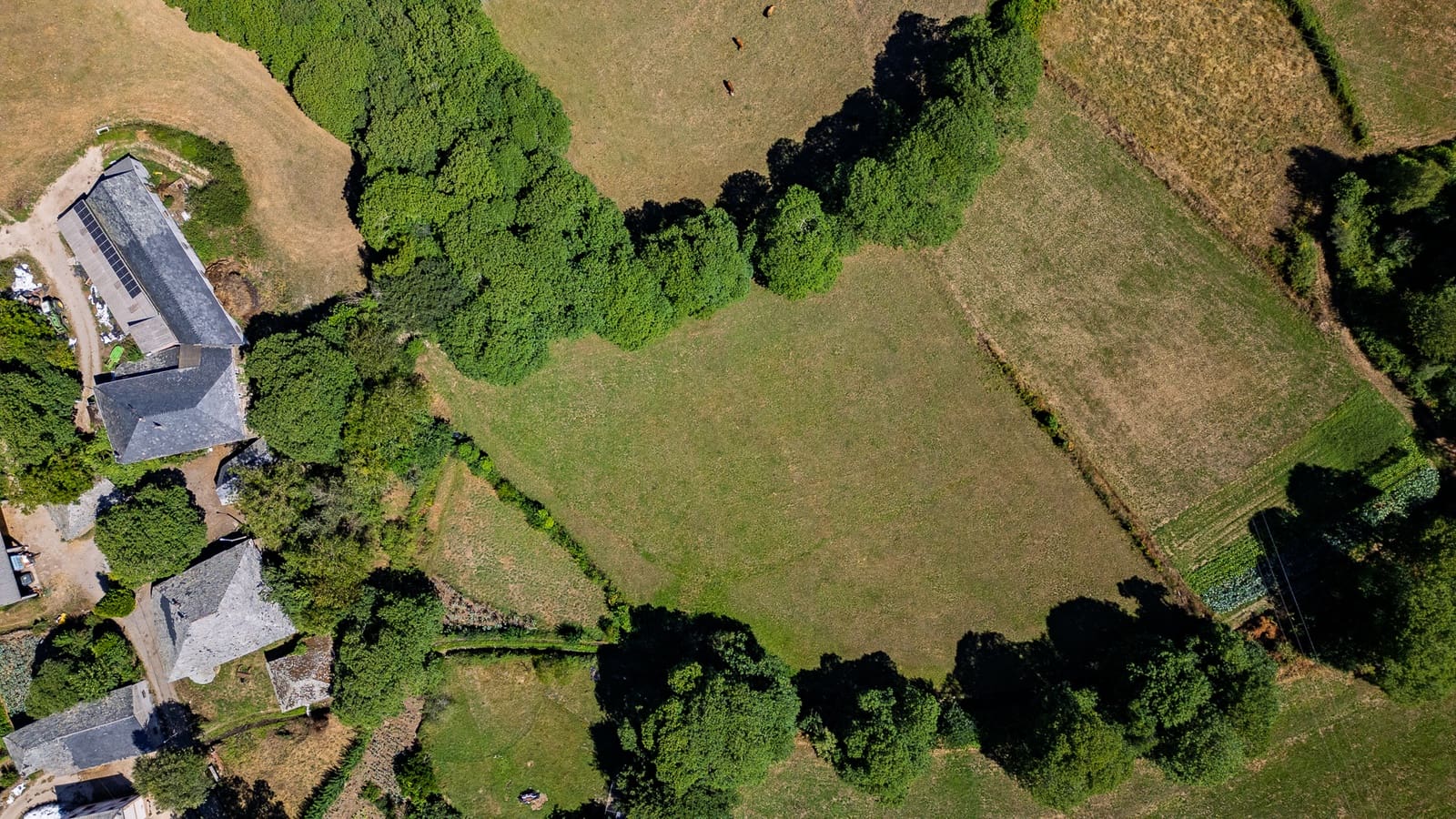 1 soverom Finca/Herregård til salgs i Lancara - € 91 000 (Ref: 9282722)