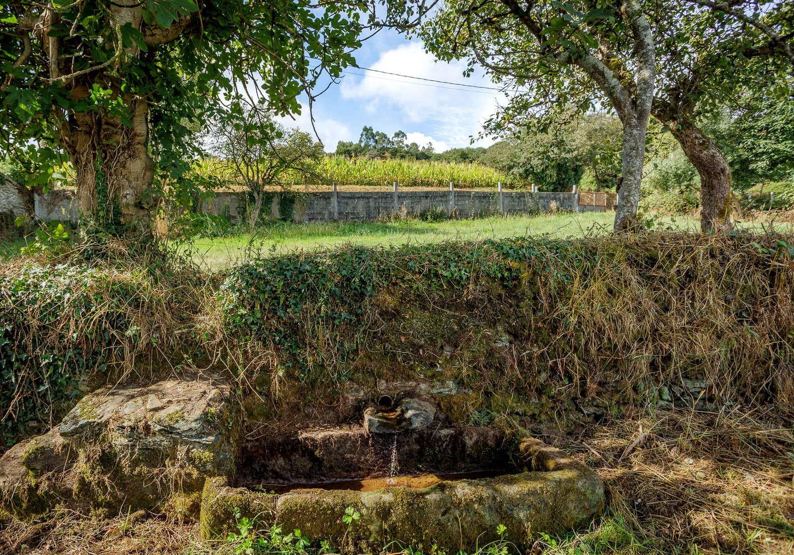 7 soveværelse Finca/Landehus til salg i Lalin - € 420.000 (Ref: 9306406)