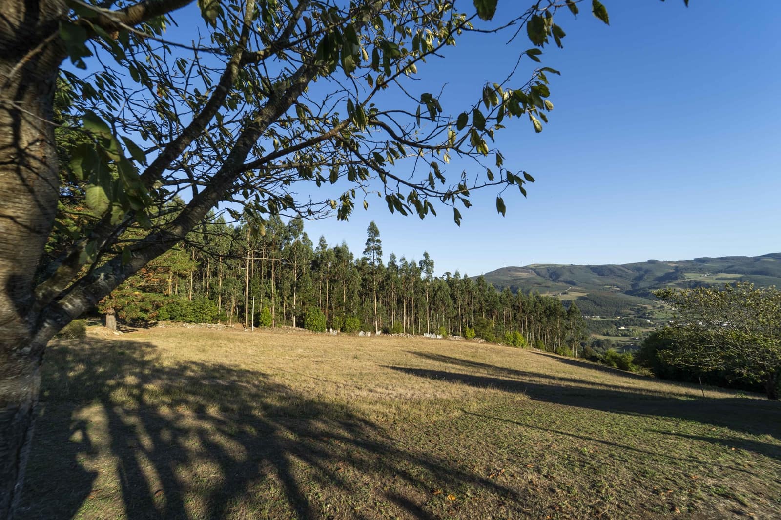 3 sypialnia Finka/Dom wiejski na sprzedaż w San Tirso de Abres - 210 000 € (Ref: 9314250)