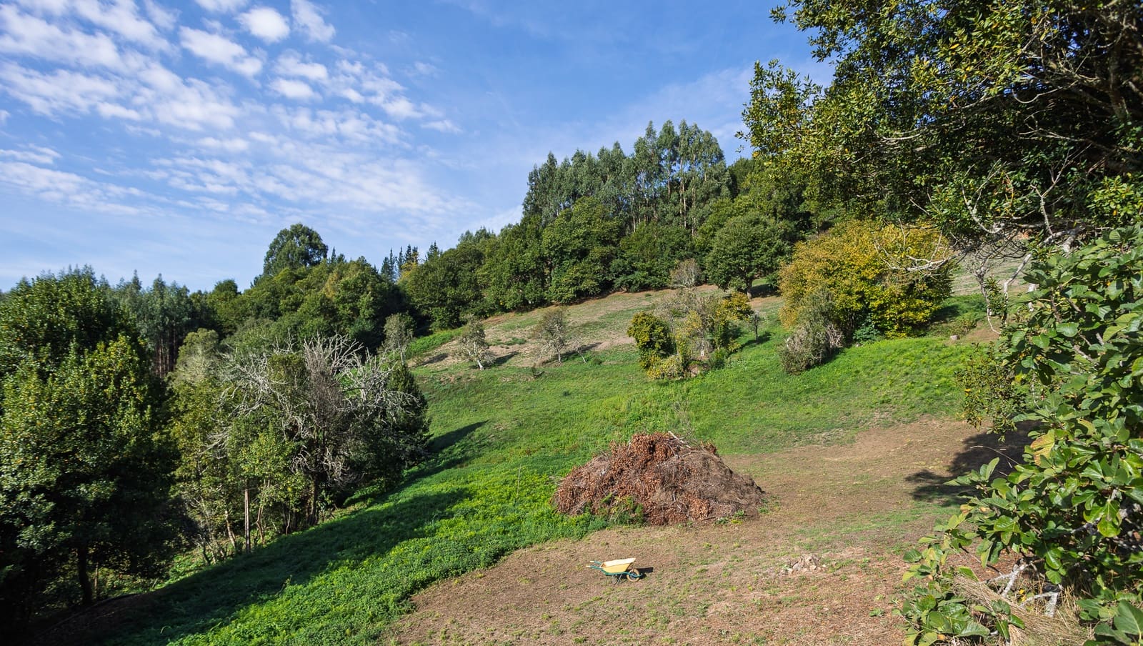 5 soverom Finca/Herregård til salgs i A Fonsagrada - € 250 000 (Ref: 9362994)