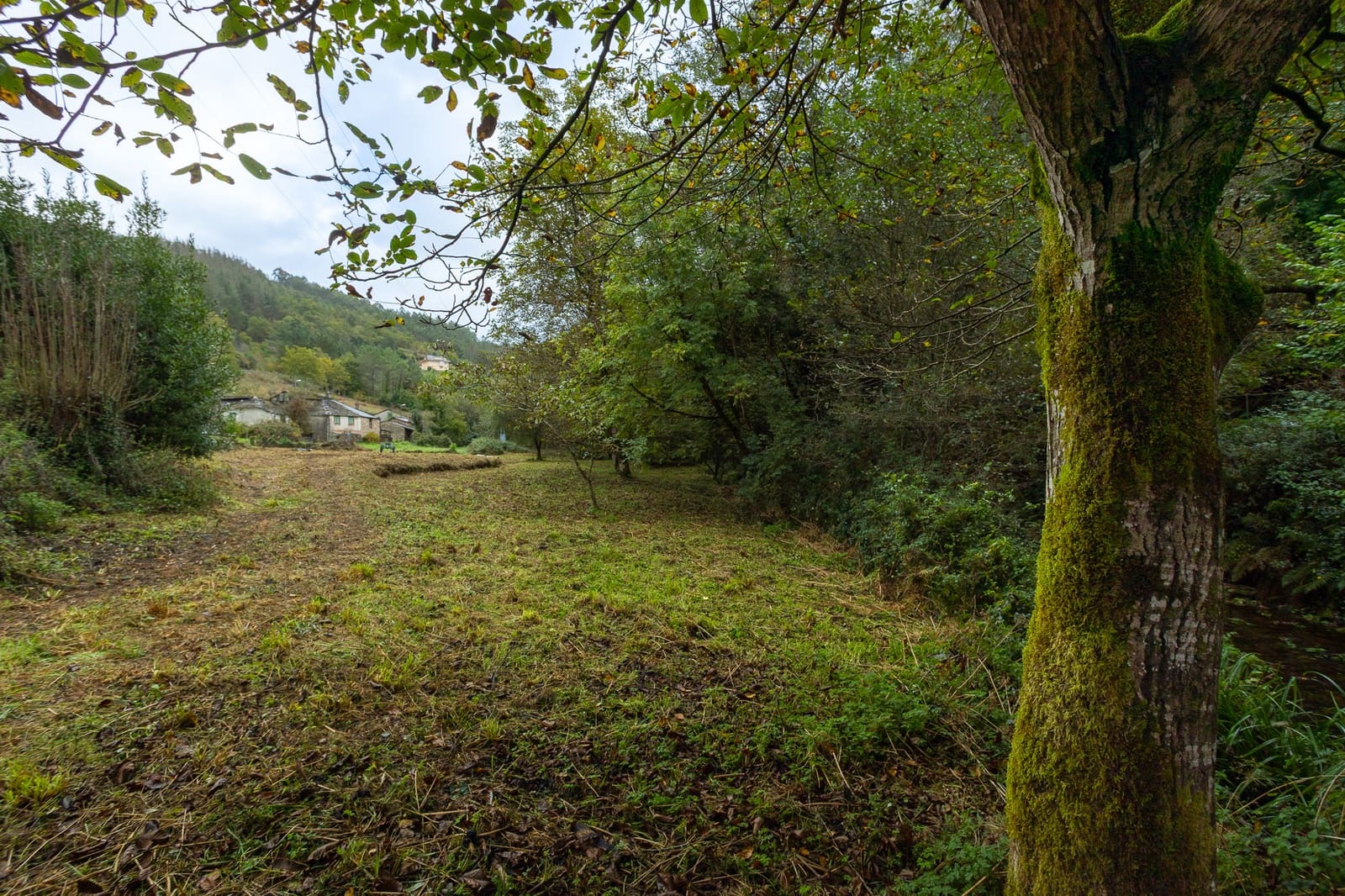 6 soverom Bedrift til salgs i Taramundi - € 590 000 (Ref: 9371158)