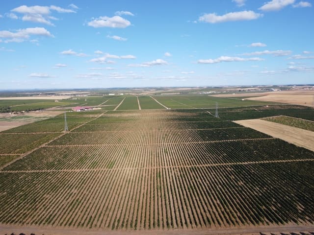 Undeveloped Land for sale in Rueda - € 1,250,000 (Ref: 9389927)