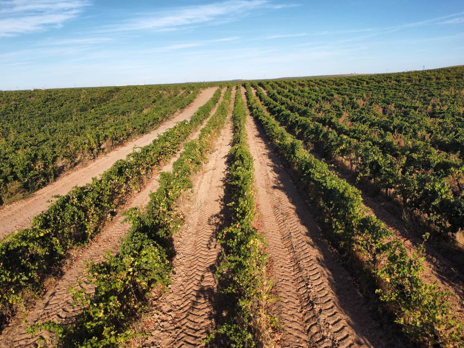 Ubebygd land til salgs i Rueda - € 1 250 000 (Ref: 9389927)