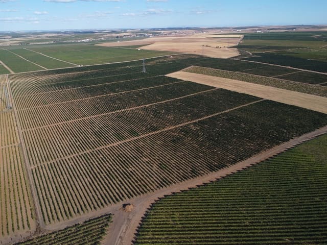 Undeveloped Land for sale in Rueda - € 1,250,000 (Ref: 9389927)