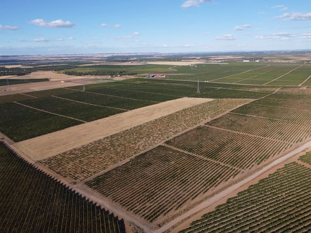 Undeveloped Land for sale in Rueda - € 1,250,000 (Ref: 9389927)