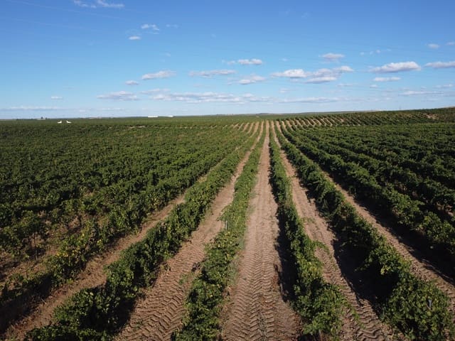 Undeveloped Land for sale in Rueda - € 1,250,000 (Ref: 9389927)