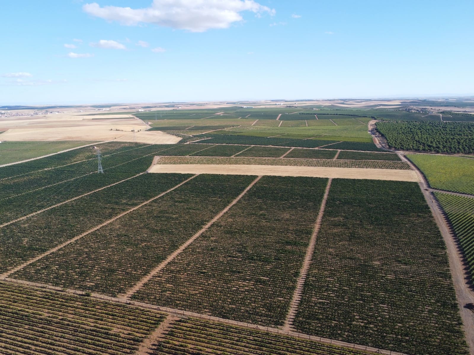 Ubebygd land til salgs i Rueda - € 1 250 000 (Ref: 9389927)