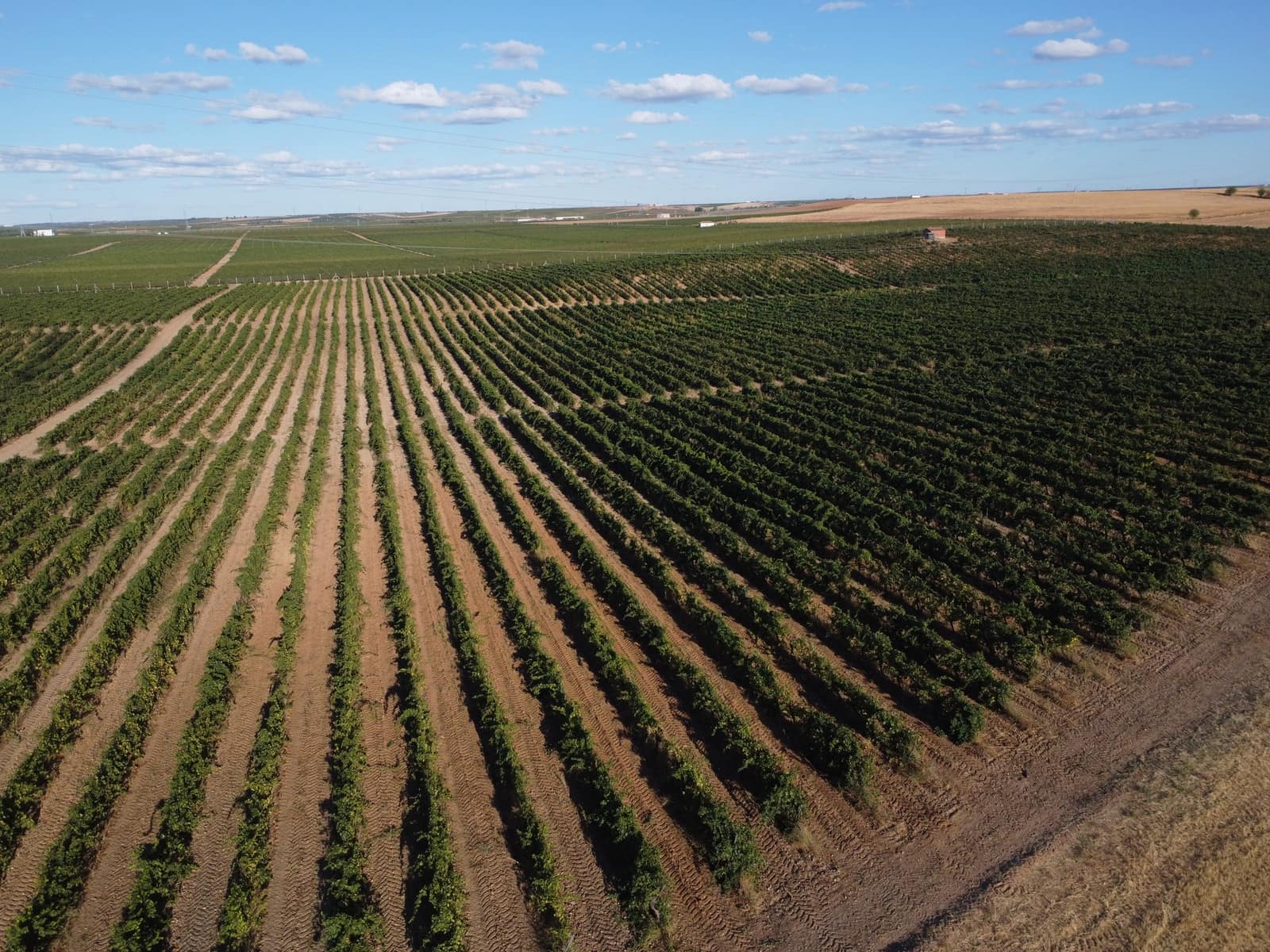 Ubebygd land til salgs i Rueda - € 1 250 000 (Ref: 9389927)