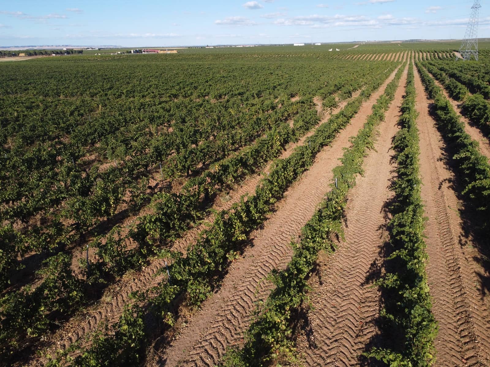 Ubebygd land til salgs i Rueda - € 1 250 000 (Ref: 9389927)