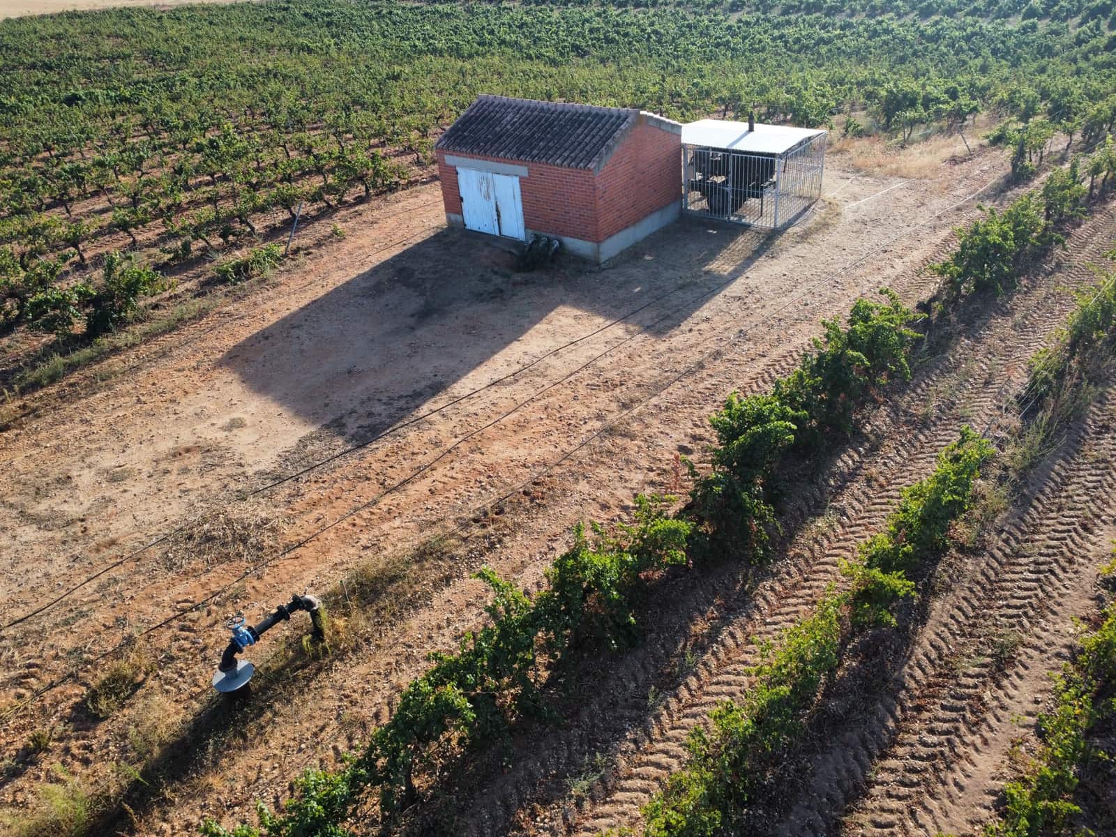 Ubebygd land til salgs i Rueda - € 1 250 000 (Ref: 9389927)