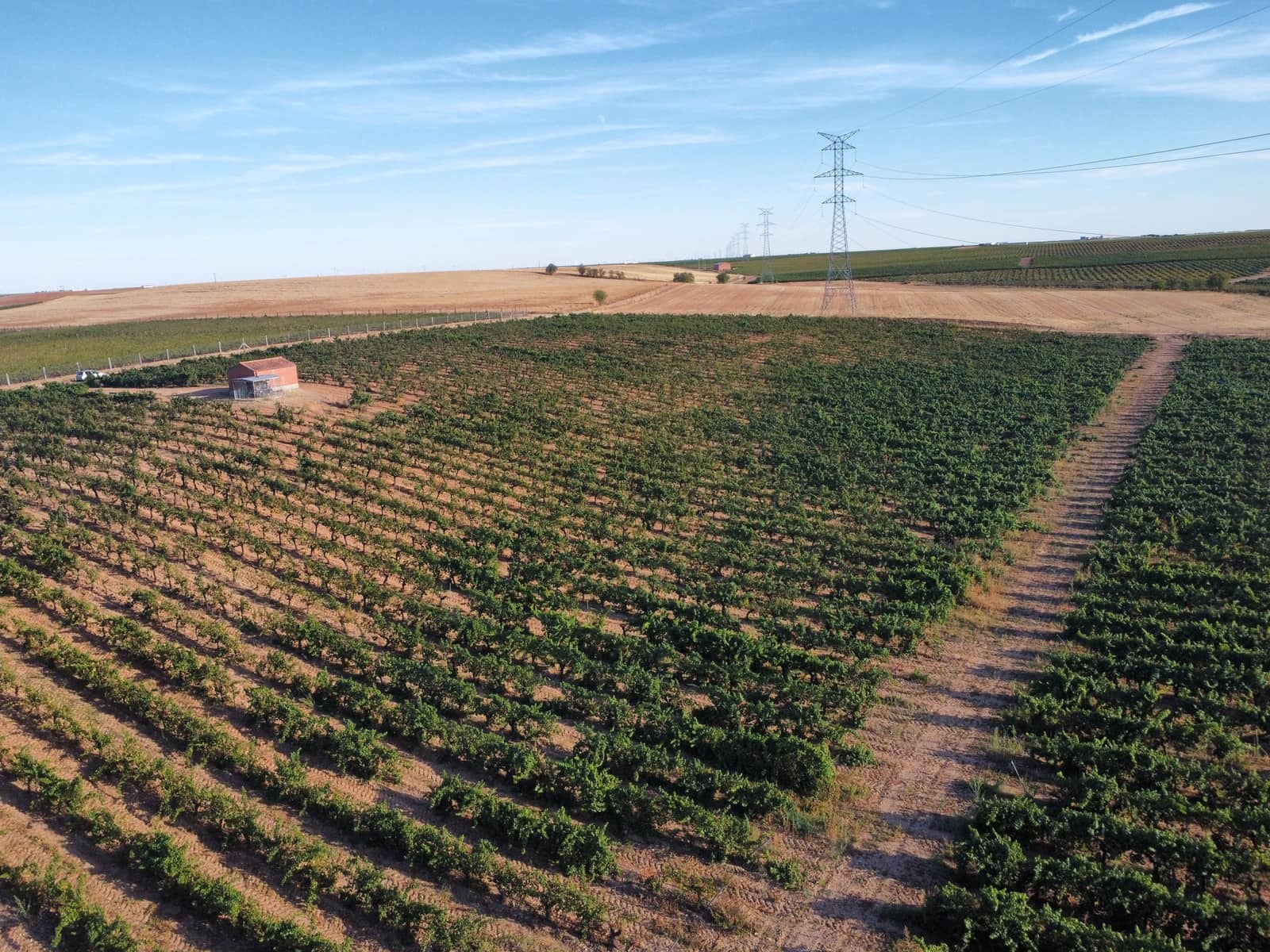 Ubebygd land til salgs i Rueda - € 1 250 000 (Ref: 9389927)