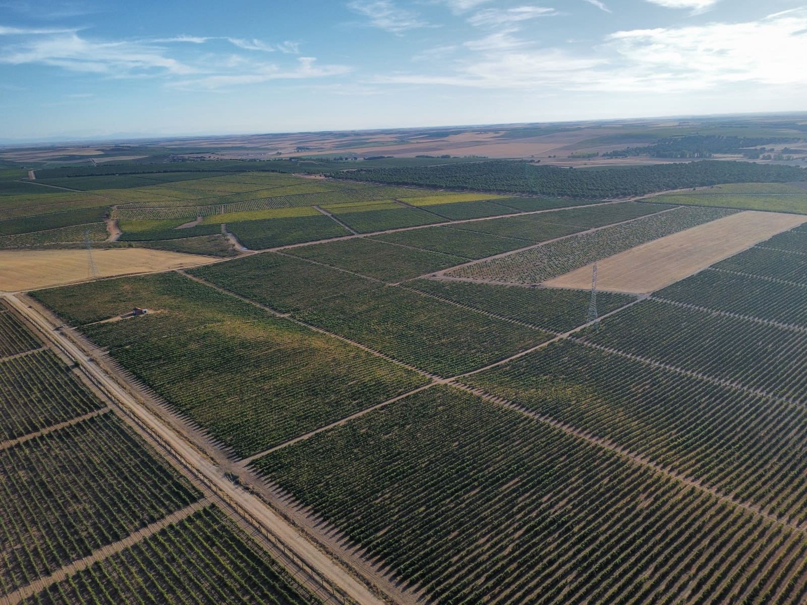 Ubebygd land til salgs i Rueda - € 1 250 000 (Ref: 9389927)