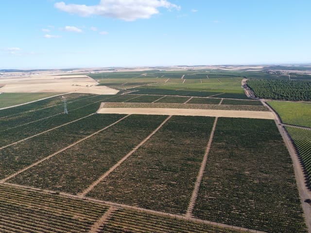 Undeveloped Land for sale in Rueda - € 1,250,000 (Ref: 9389927)