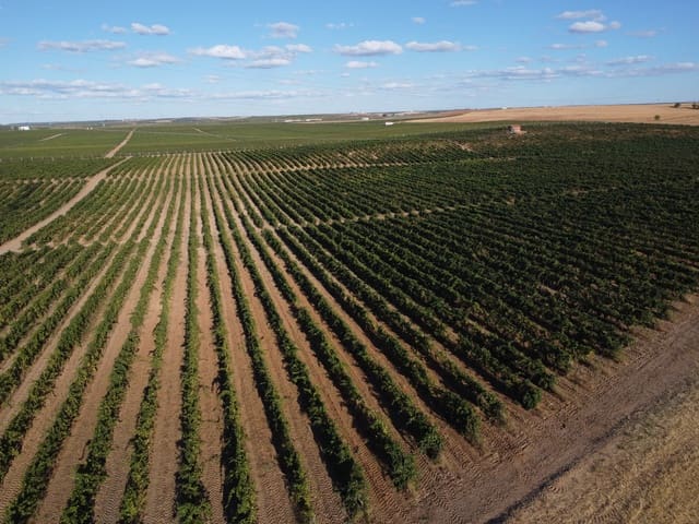 Undeveloped Land for sale in Rueda - € 1,250,000 (Ref: 9389927)