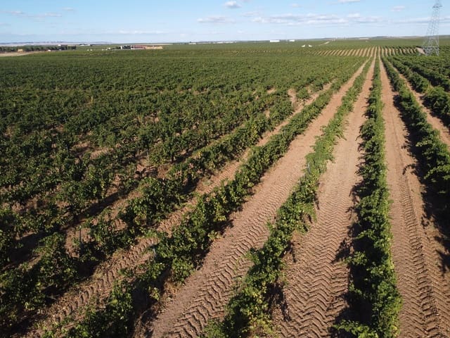 Undeveloped Land for sale in Rueda - € 1,250,000 (Ref: 9389927)