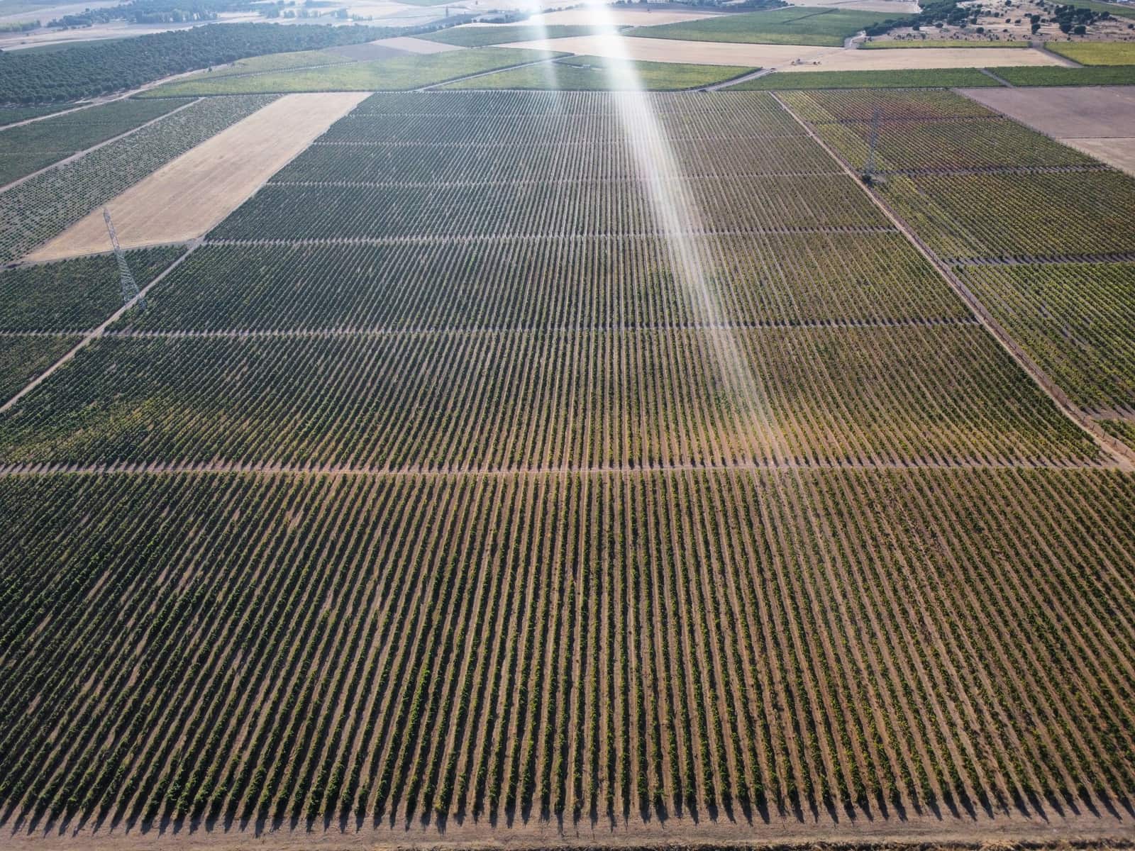 Ubebygd land til salgs i Rueda - € 1 250 000 (Ref: 9389927)