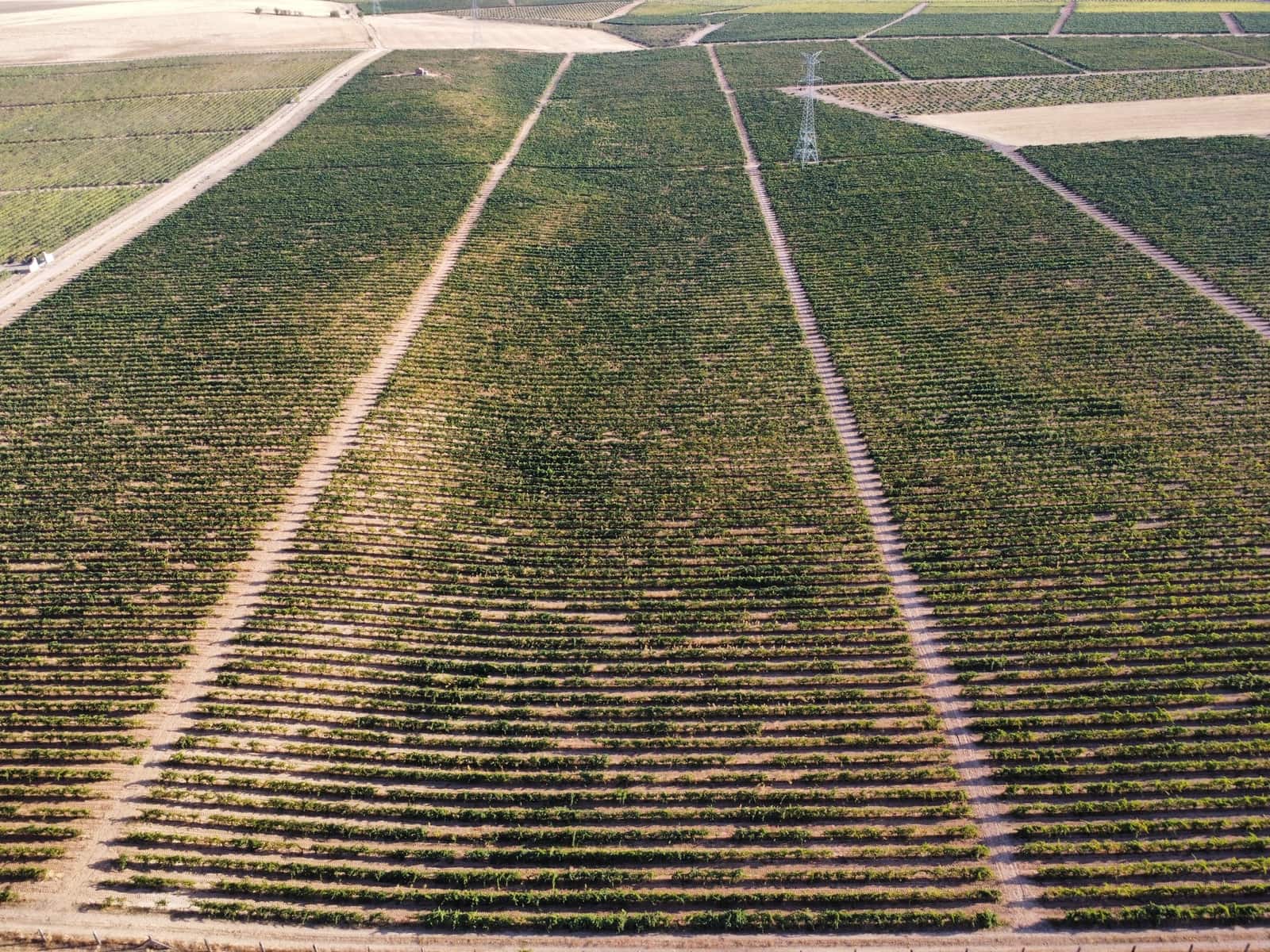 Ubebygd land til salgs i Rueda - € 1 250 000 (Ref: 9389927)