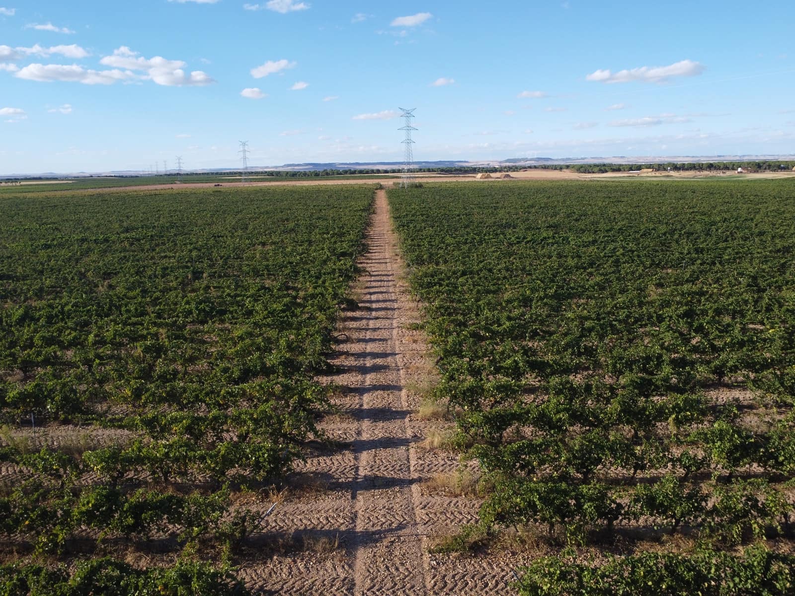 Ubebygd land til salgs i Rueda - € 1 250 000 (Ref: 9389927)