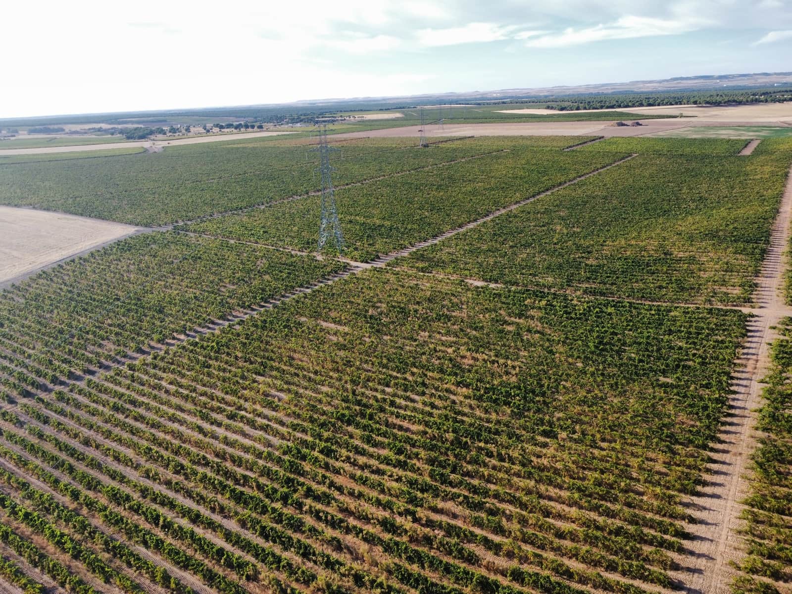 Ubebygd land til salgs i Rueda - € 1 250 000 (Ref: 9389927)