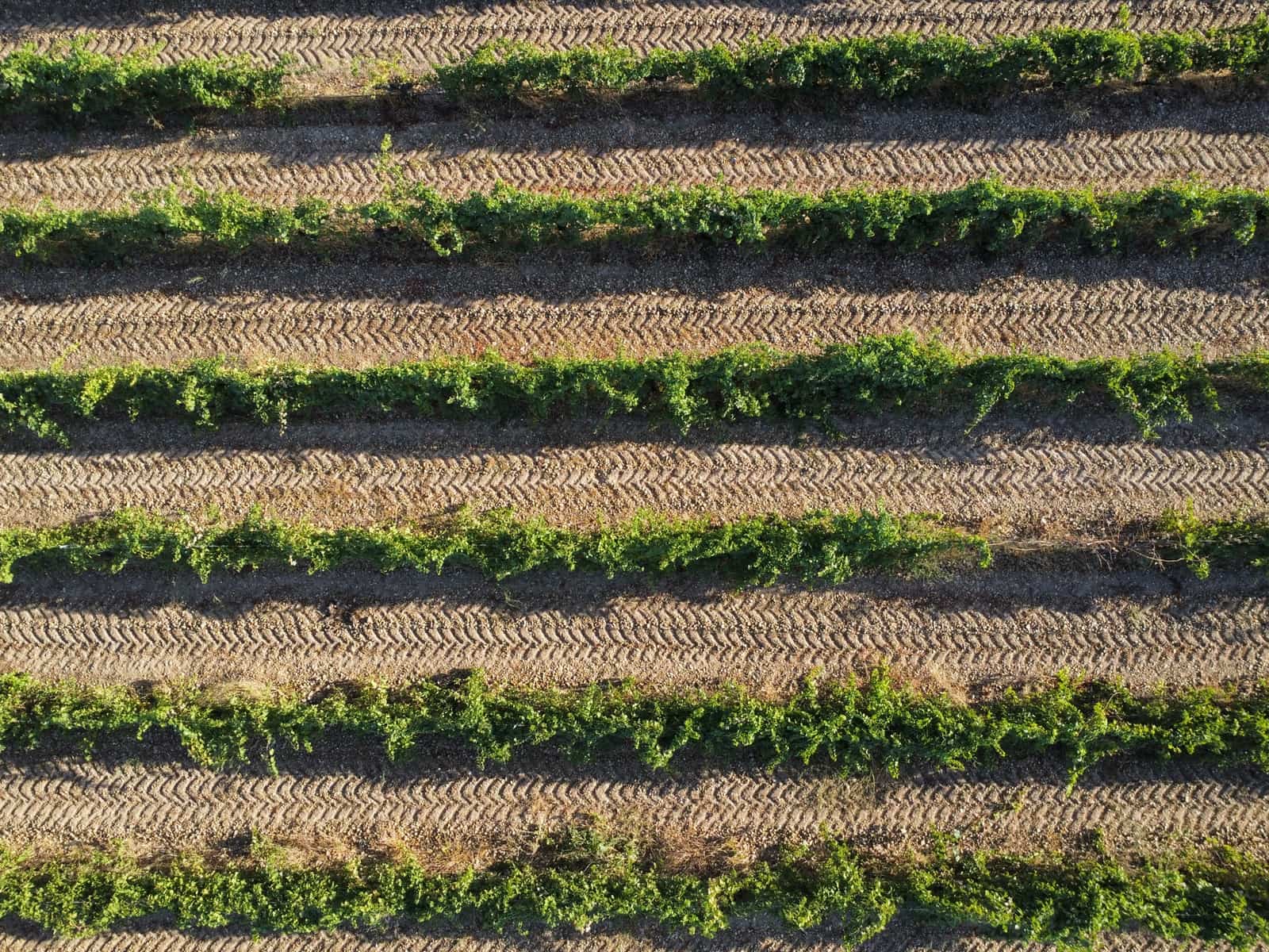 Ubebygd land til salgs i Rueda - € 1 250 000 (Ref: 9389927)