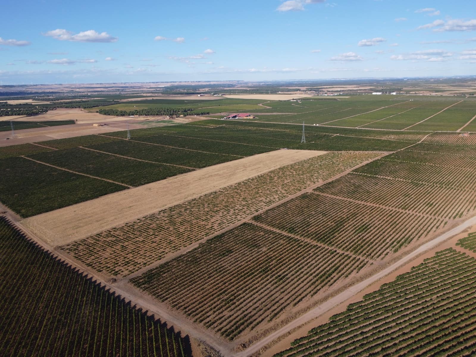 Grond te koop in Rueda - € 1.050.000 (Ref: 9389927)