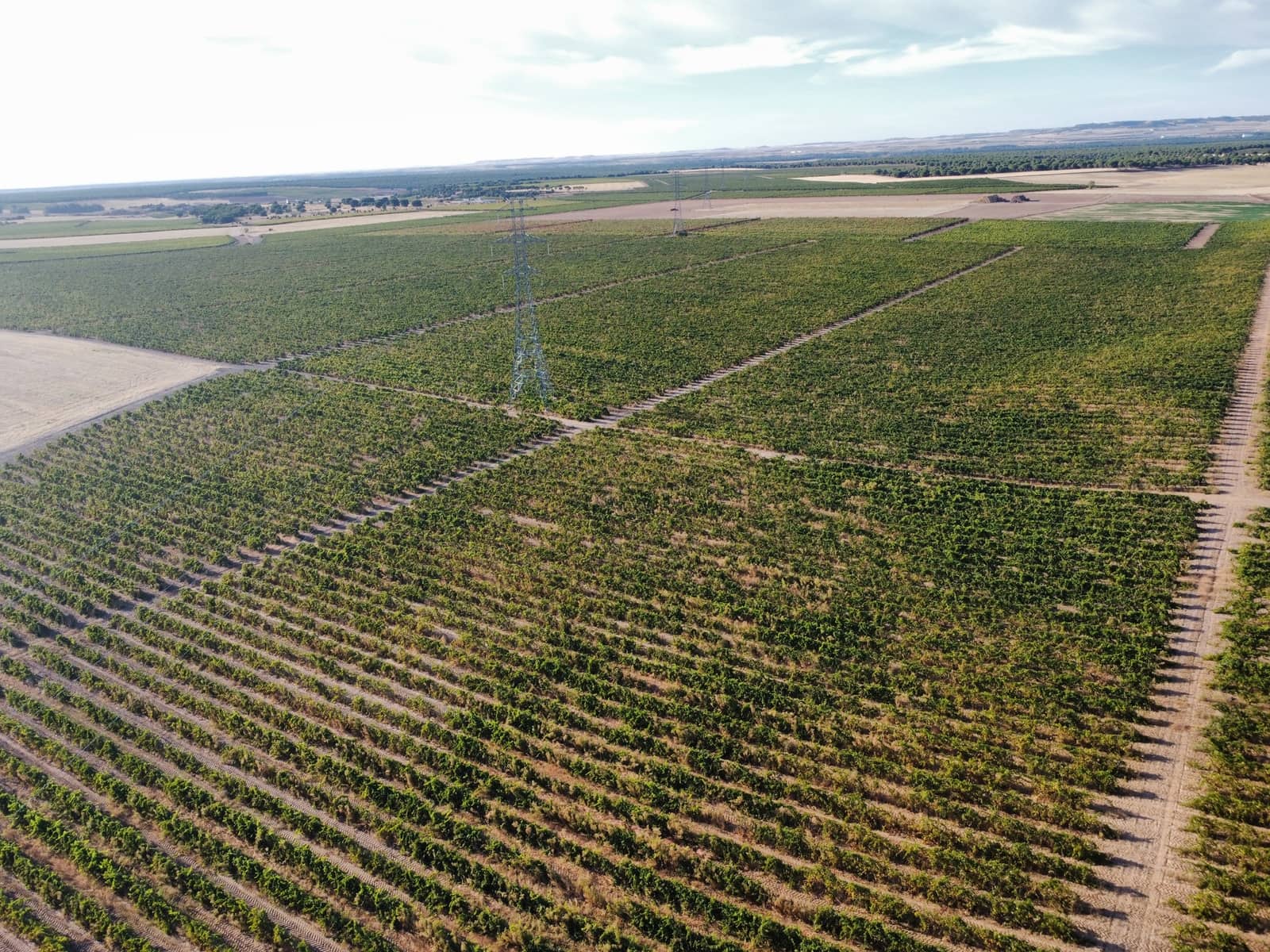 Grond te koop in Rueda - € 1.050.000 (Ref: 9389927)