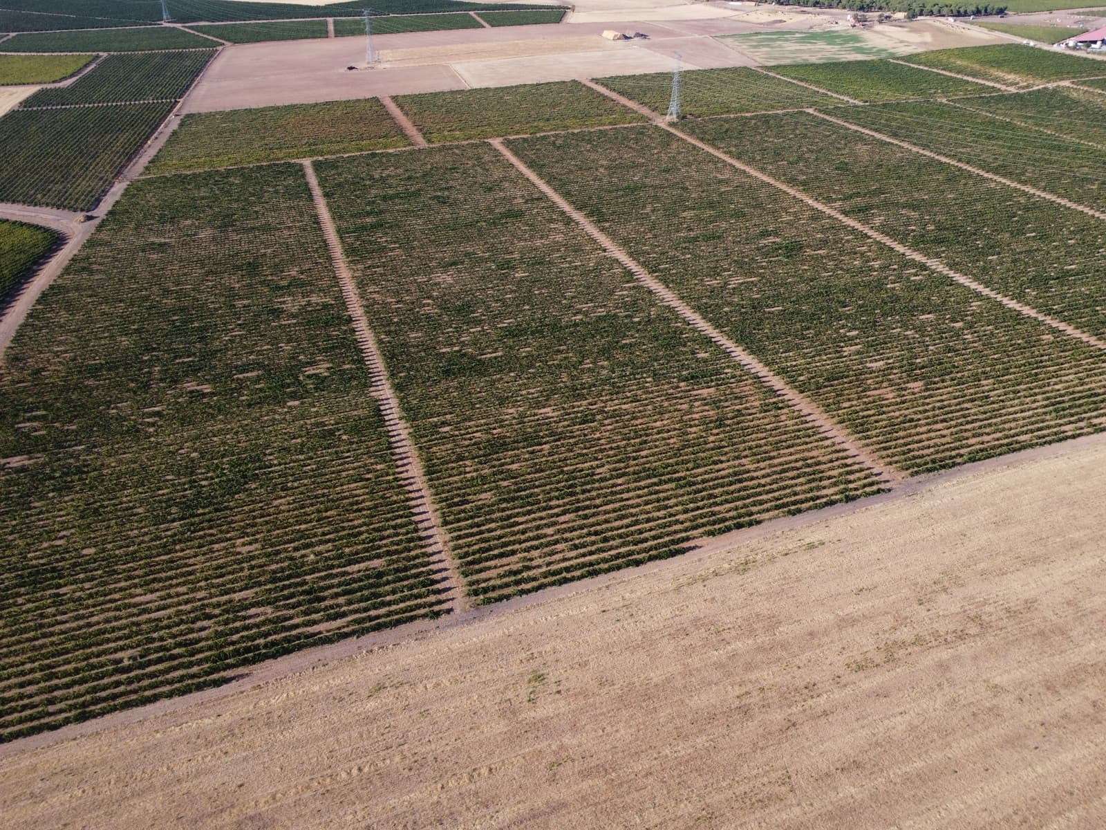 Grond te koop in Rueda - € 1.050.000 (Ref: 9389927)
